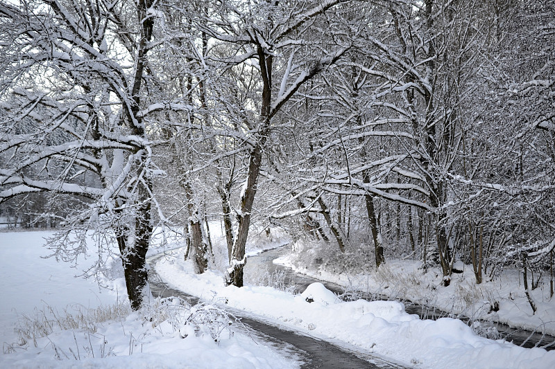 雪冬天森林圣诞冬天仙境日落