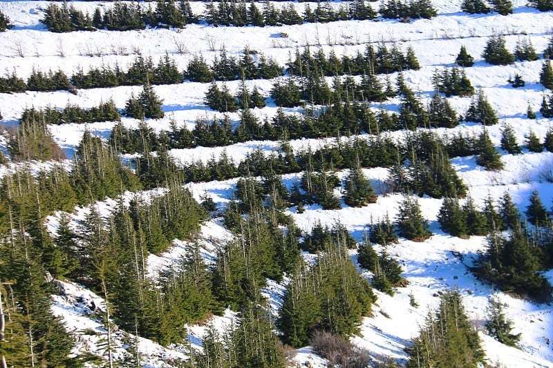 黎巴嫩山上的雪