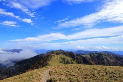 秋往一森的鹤木山公路(德岛县)
