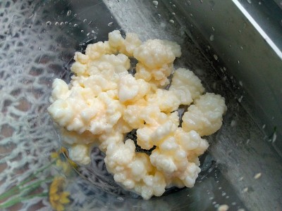 牛奶凯菲尔