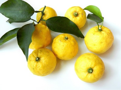 柠檬