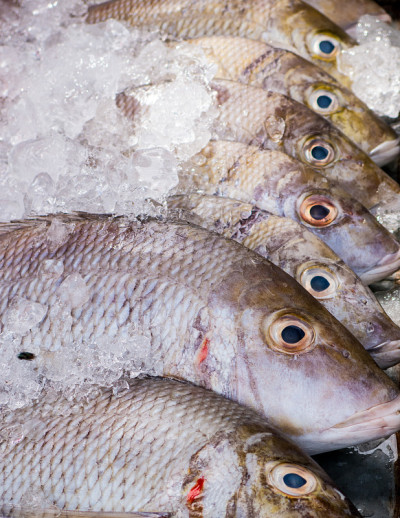 尼罗河罗非鱼(Oreochromis niloticus)鱼市海鲜鱼贩