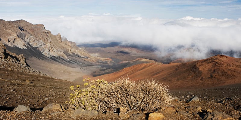 哈雷阿卡拉火山口