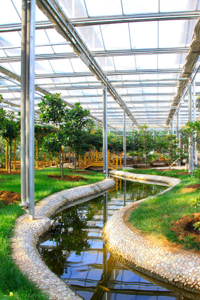 植物园内的室内建筑景观