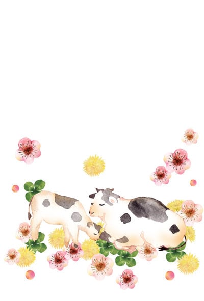 鲜花牛家庭