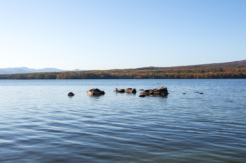 日本北海道小沼湖田园诗般的景色