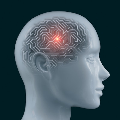 脑迷宫科学与医学研究