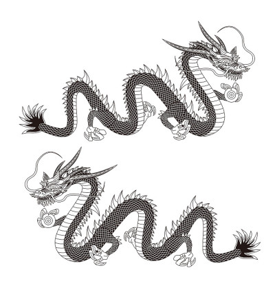 龙的插图。