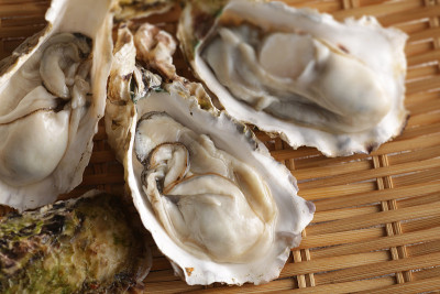 带壳的牡蛎有冬天的味道