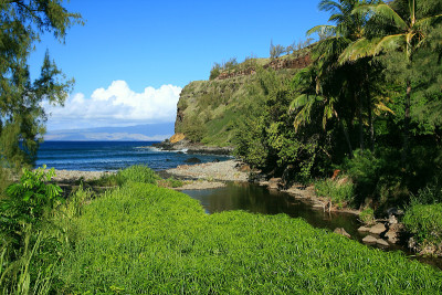 毛伊岛夏威夷海滩太平洋棕榈树湾风景