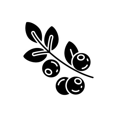 蓝莓黑色字形图标