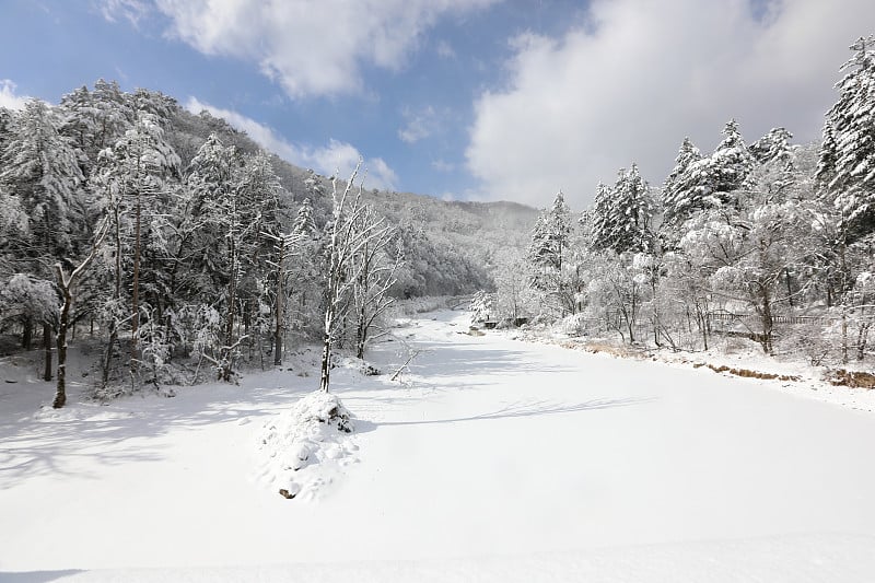 美丽的冬季高山白雪覆盖的景观。壮丽而静谧的晴天。(韩国江原道御田山国家公园)