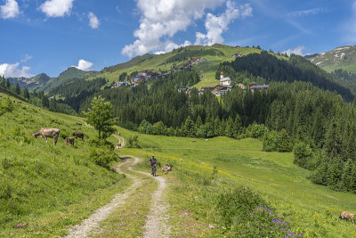 一名骑着电动山地车的妇女在奥地利阿尔卑斯山遇到了一群奶牛