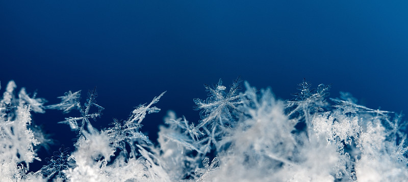 在下雪时拍摄真实的雪花