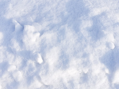 新鲜的雪