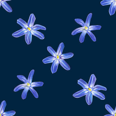 蓝色的春花。手绘彩色铅笔画贺卡模板。婚礼卡片