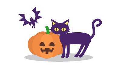 南瓜，黑猫和蝙蝠的插图