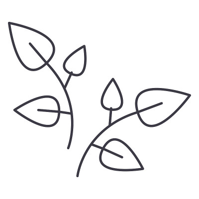 叶子，分支向量线图标，标志，背景上的插图，可编辑的笔触