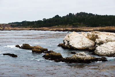 Point Lobos State Reserve