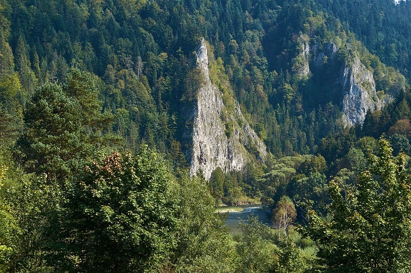 波兰杜纳耶茨河和松树国家公园的全景