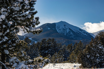 基督山的雪血