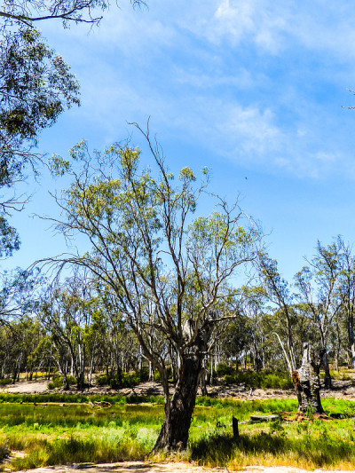 Echuca,维多利亚,澳大利亚