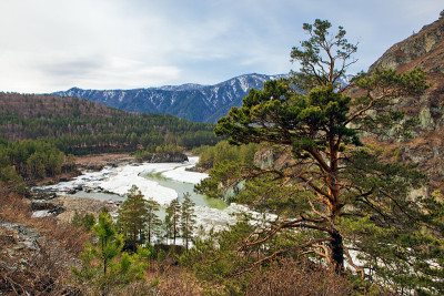 山景观