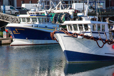 Treport。码头上的Chalutiers。诺曼底。Seine-Maritime