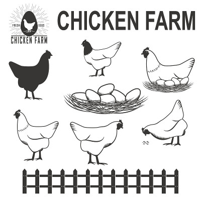 chichens set