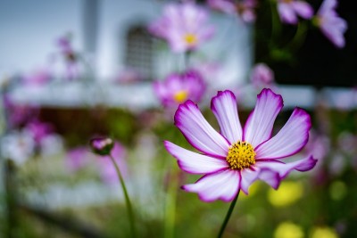 宇宙的季节