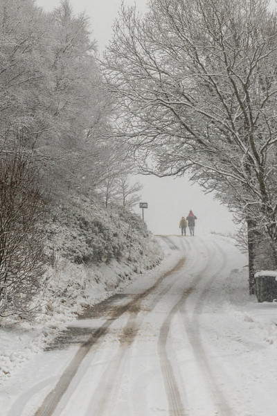 雪覆盖了道路