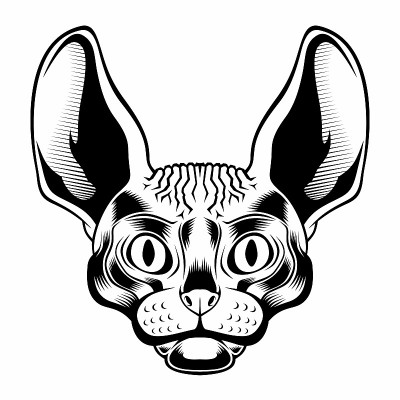 斯芬克斯猫头。