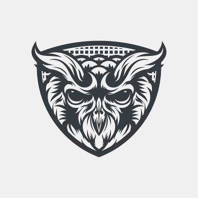 黑白猫头鹰卡通和吉祥物t恤设计矢量插图