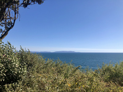 海洋