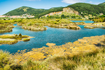 美丽的自然公园Santoña，维多利亚和加耶尔沼泽在坎塔布里亚，西班牙
