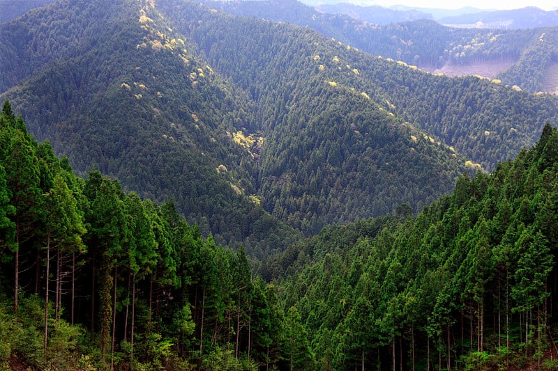 高野山