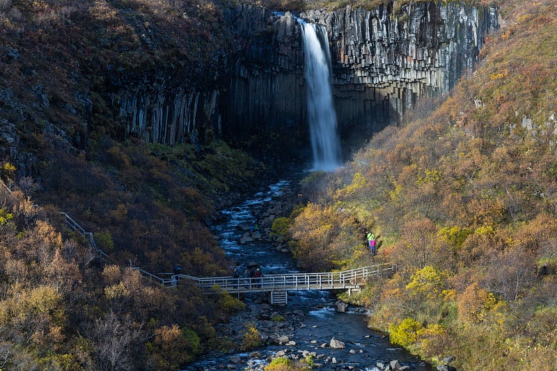 冰岛Svartifoss瀑布