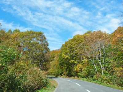 秋叶，日本福岛