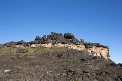 罗赖马峰，火山地带和奇怪的树木