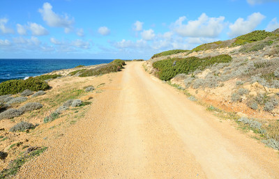 海岸边的土路