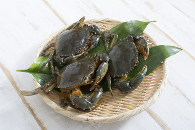 红树林俱乐部