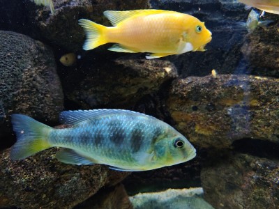 水族馆