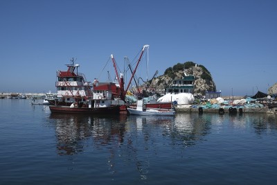 渔港