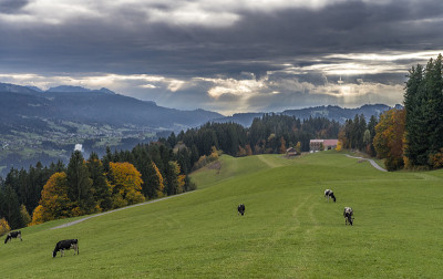 奥地利，Vorarlberg, Bregenz森林的山地景观