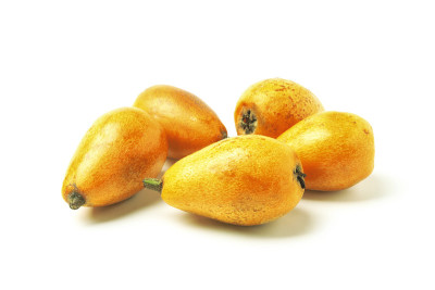 枸杞