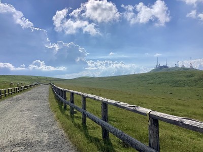 海拔2000米的宇津原高原夏季风光