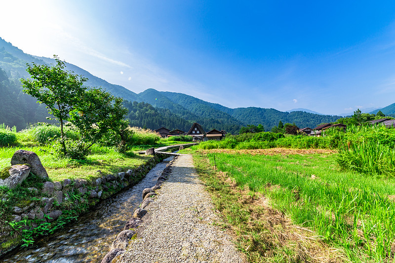 仲夏Shirakawa-go预览效果