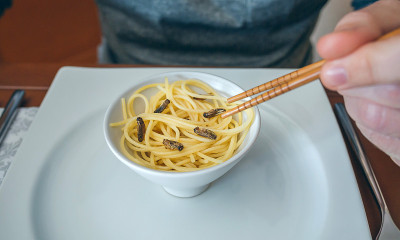 吃意大利面和蟋蟀的人