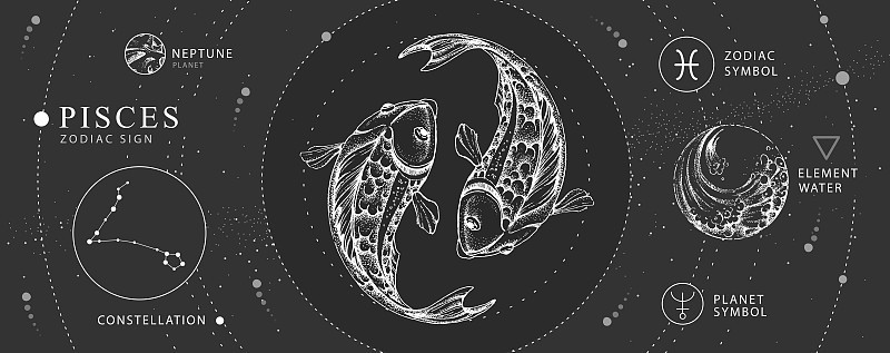 现代魔术魔术卡与星座双鱼座黄道十二宫。写实手绘锦鲤插图。星座的特点