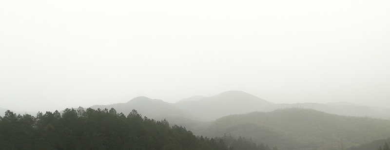雾山森林和白色的天空模糊横幅与复制空间